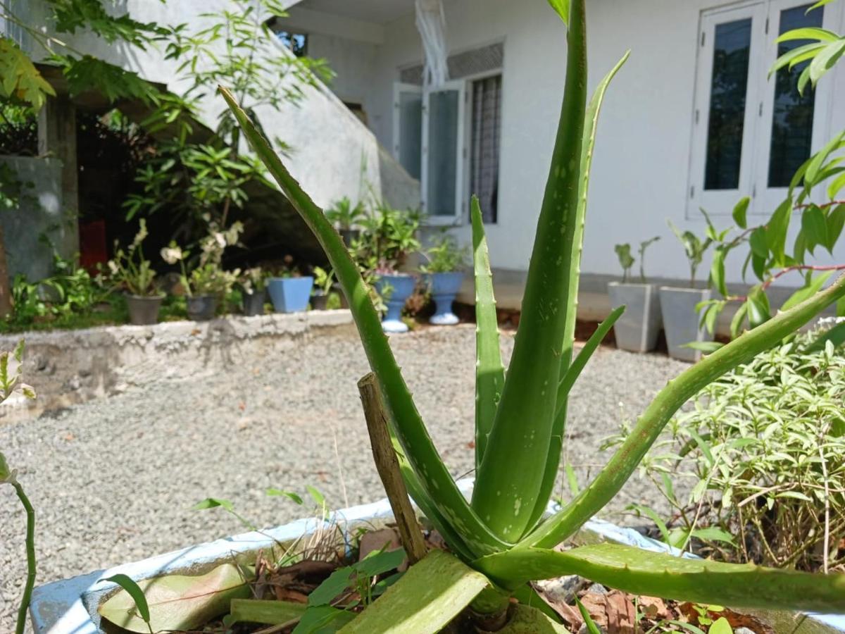 אונה ואטונה Villa Diamond Nest מראה חיצוני תמונה